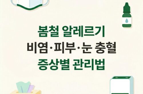 봄철 알레르기 증상별 관리법 — 비염 피부 가려움 눈 충혈 대처법 인포그래픽