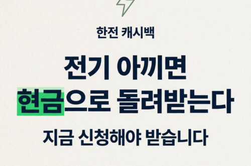 한전 에너지 캐시백 신청 방법을 안내하는 콘텐츠 썸네일. 번개 아이콘, "한전 캐시백 — 전기 아끼면 현금으로 돌려받는다, 지금 신청해야 받습니다" 타이틀, BASIC TO BEST 브랜드 표기.